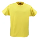 2264020_lemon