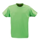 2264020_lime